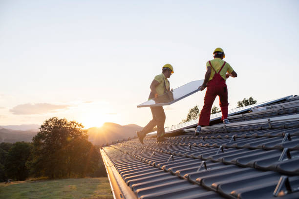 Best Roof Moss and Algae Removal  in Taft Southwest, TX