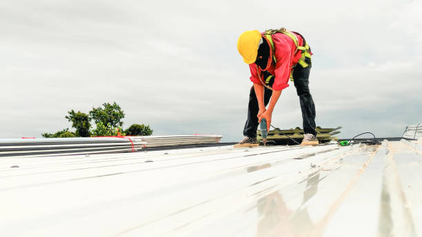 Best Metal Roofing Installation  in Taft Southwest, TX